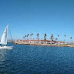 Meet your Posher, Pat